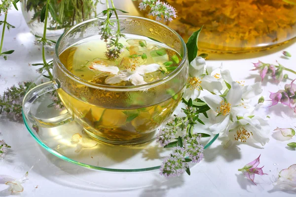 Tea from grasses and mint in a transparent cup on a white backg