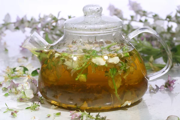 Tea from grasses and mint in a transparent teapot — Stock Photo, Image