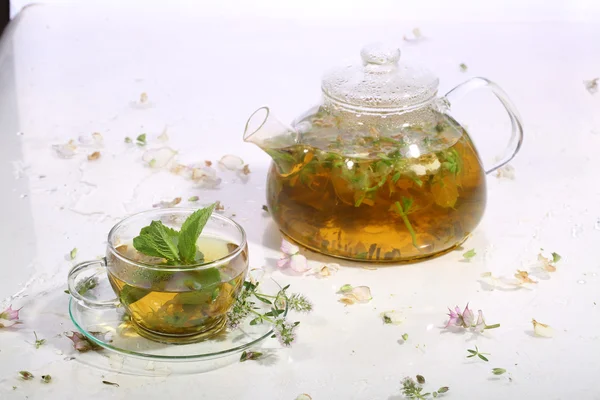Otlar ve şeffaf bir çaydanlık ve bir fincan nane çayı — Stok fotoğraf