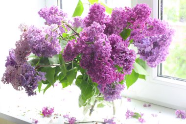 Bir pencere karşı şeffaf bir vazoda leylak buket