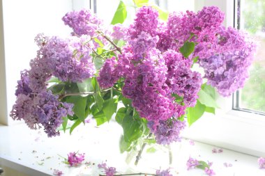 Bir pencere karşı şeffaf bir vazoda leylak buket