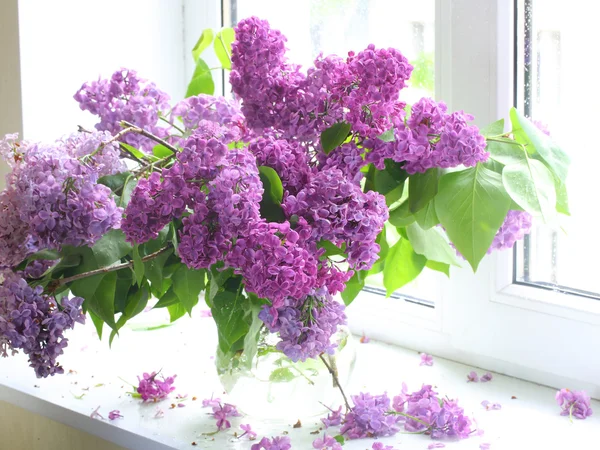 Buquê de lilás em um vaso transparente contra uma janela — Fotografia de Stock