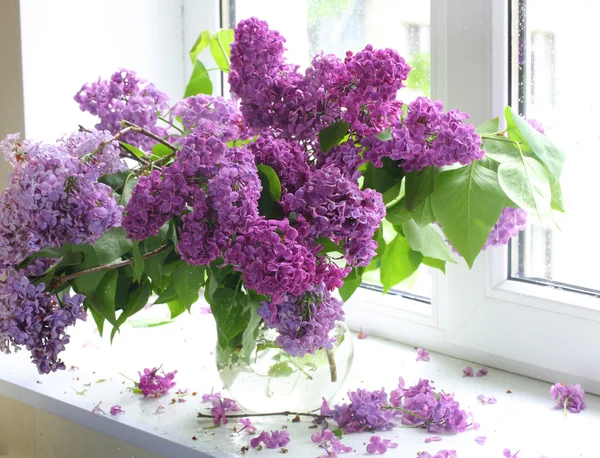 Bouquet de lilas dans un vase transparent contre une fenêtre — Photo