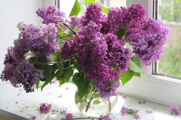 Bouquet de lilas dans un vase transparent contre une fenêtre — Photo