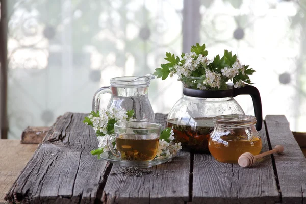 Зеленый чай в стакане, мёд и ветвь цветущей сосны — стоковое фото