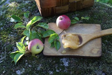 Tahta kaşık ve elma dal tatlım