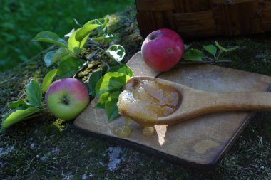 Tahta kaşık ve elma dal tatlım