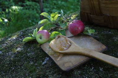 Tahta kaşık ve elma dal tatlım