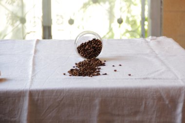 Şeffaf Bankası kahve taneleri