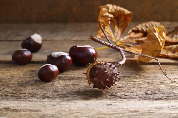 Fruits of chestnuts on a wooden table — Stock Photo, Image