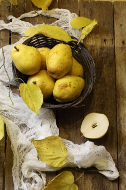 Armut gerdanlı bir sepet ve bir linden sonbahar bir dalı