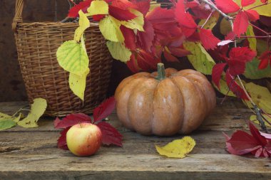 Kabak, gerdanlı sepeti sonbahar yaprakları