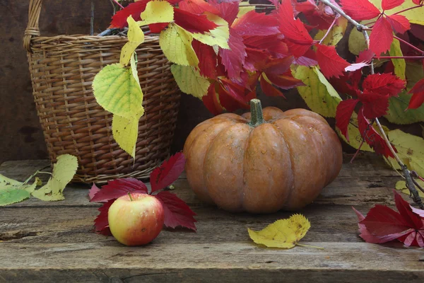 Abóbora, folhas de outono cesta wattled — Fotografia de Stock