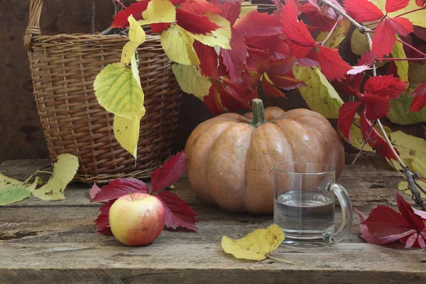 Citrouille, panier ondulé feuilles d'automne — Photo