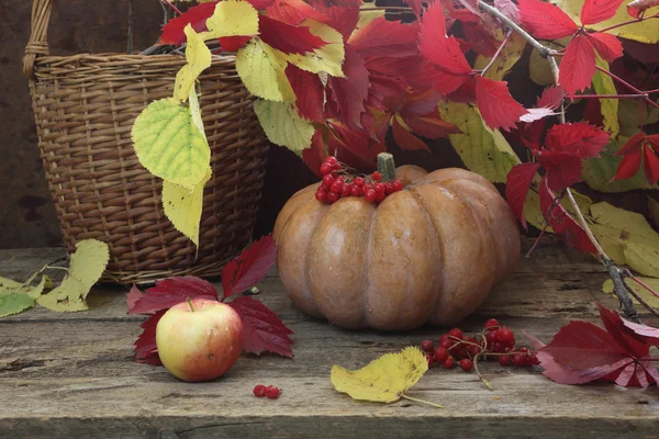 Citrouille, panier ondulé feuilles d'automne — Photo