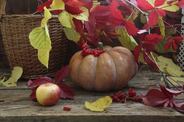 Abóbora, folhas de outono cesta wattled — Fotografia de Stock