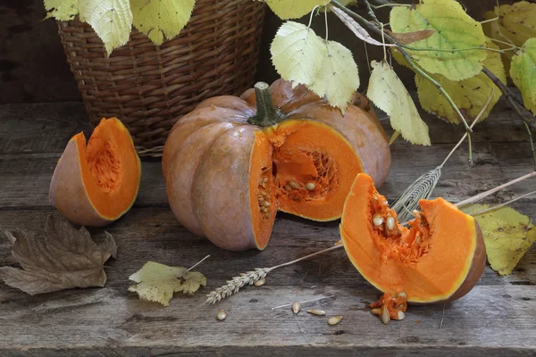 Calabaza, nueces, cesta de mimbre y rama de otoño — Foto de Stock