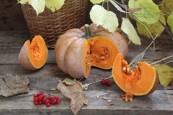 Calabaza, nueces, cesta de mimbre y rama de otoño — Foto de Stock