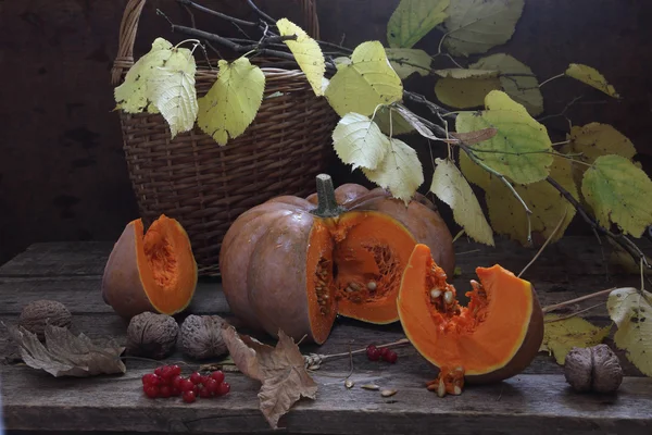Calabaza, nueces, cesta de mimbre y rama de otoño — Foto de Stock