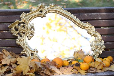 Sonbahar yaprakları, bir sonbahar ayna ve tan bir aynadaki yansıma