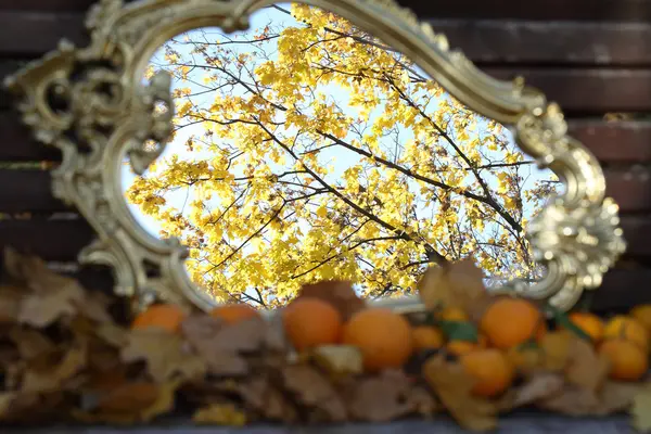 Reflectie in een spiegel van de herfst bladeren, een herfst spiegel — Stockfoto