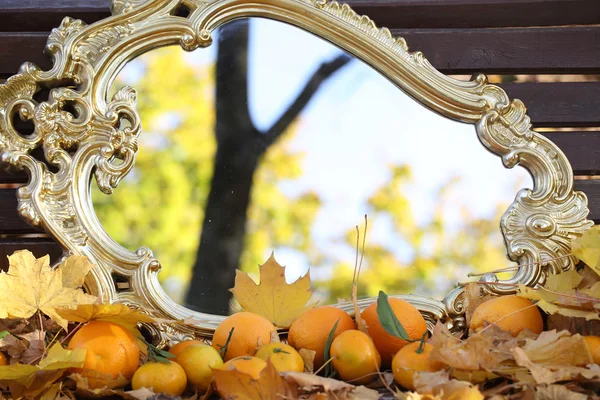 Reflectie in een spiegel van de herfst bladeren, herfst spiegel en tan — Stockfoto