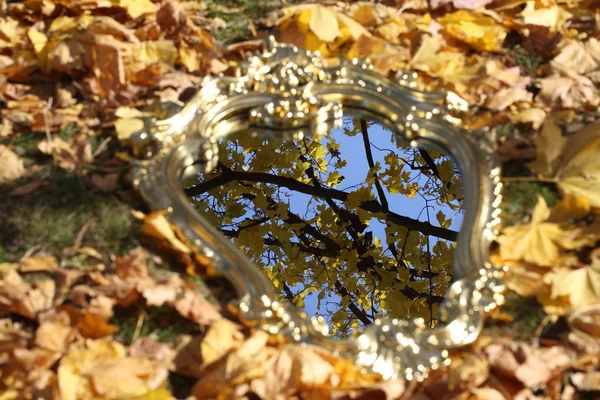 Рефлексія в дзеркалі осіннього листя, осіннє дзеркало — стокове фото