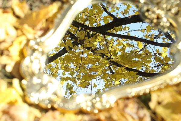 秋のミラーで反射葉、秋のミラー — ストック写真