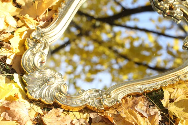 Réflexion dans un miroir de feuilles d'automne, un miroir d'automne et bronzage — Photo