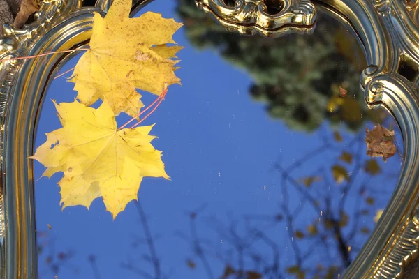 空の反射でミラーのもみじの紅葉します。 — ストック写真