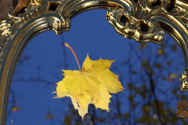 Feuille d'automne d'un érable sur un miroir dans la réflexion du ciel — Photo