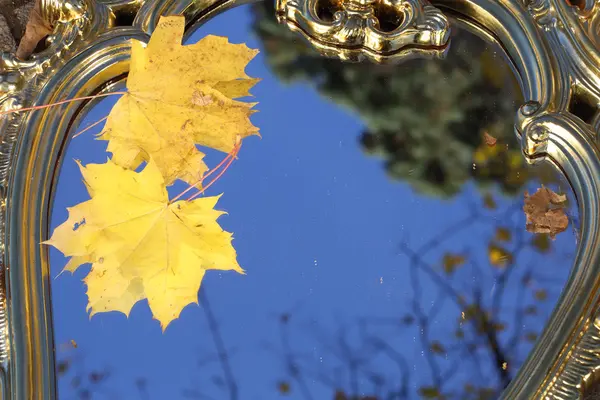 Herfstbladeren van een esdoorn op een spiegel in de hemel reflexion — Stockfoto