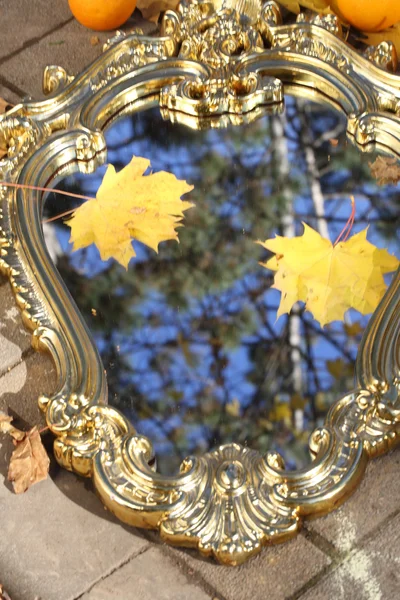 Herfstbladeren van een esdoorn op een spiegel in de hemel reflexion — Stockfoto