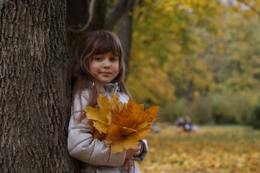 Sonbahar parkta kız ile akçaağaç yaprakları