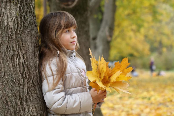 Dziewczyna z klon liści w parku jesień — Zdjęcie stockowe