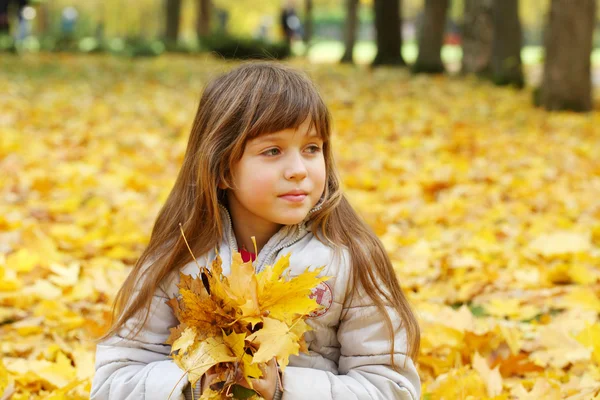 Het meisje met esdoorn bladeren in de herfst park — Stockfoto