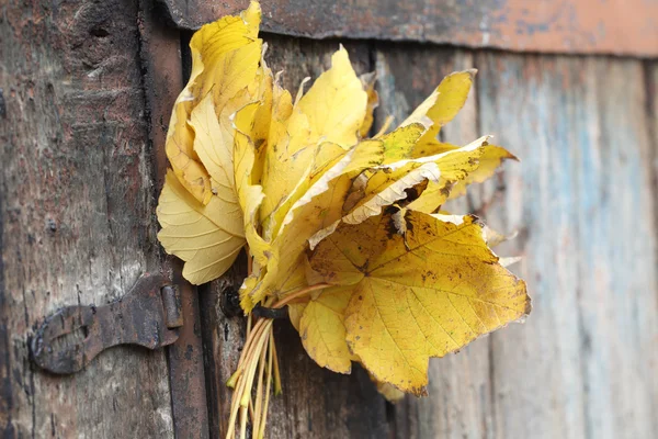 Foglie gialle di un acero su uno sfondo di legno — Foto Stock