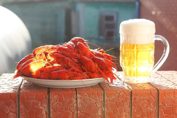 Caneca de cerveja e um prato com cânceres fervidos — Fotografia de Stock