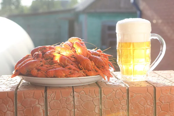 Taza de cerveza presentada con cánceres hervidos — Foto de Stock