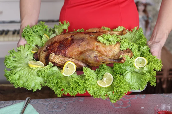 Le canard cuit dans un four sur un plateau dans les mains de la femme — Photo