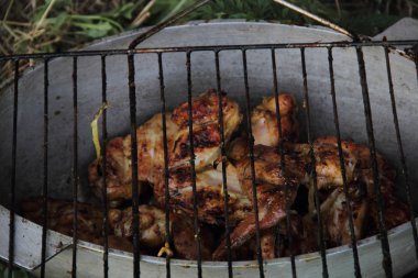 Barbekü tavuk kanatları