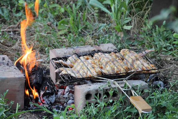 Stekt kyckling, stekt kyckling på en vit plat — Stockfoto