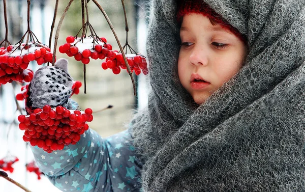 La ragazza rurale in vestiti invernali con un ramo guelder-rose su un — Foto Stock