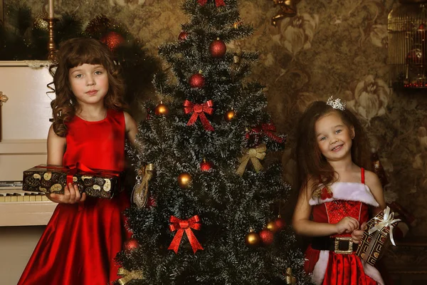 Meninas em vestidos vermelhos perto de uma árvore de pele — Fotografia de Stock