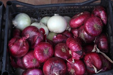 Kırmızı soğan, kırmızı soğan bir bo