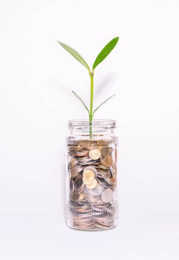Para Ağacı, mali büyümeyi temsil eden tasarrufların bir sembolü..
