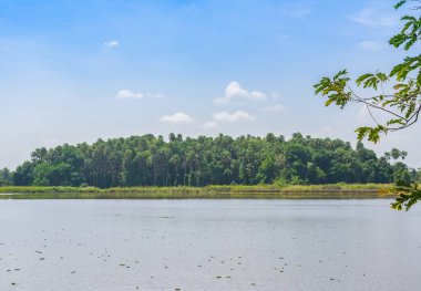 Kham Chanot Ormanı, Udon Thani Eyaleti Tayland 'ın Kud Kham rezervuarında bir nehir adasına benzeyen bir ormandır. Arazinin ortasında Chanod Palmiyesi dolu.