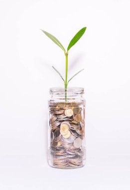 Para Ağacı, mali büyümeyi temsil eden tasarrufların bir sembolü..