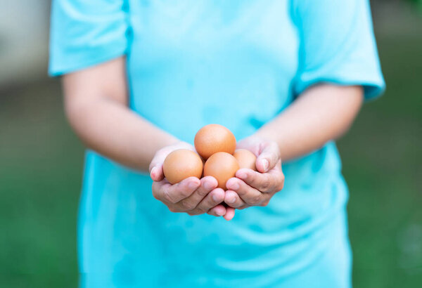 Закрыть яйца в женской руке. Самка держит несколько яиц вне фокуса.