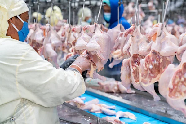 Trabalhadores Estão Cortando Partes Frango Uma Fábrica — Fotografia de Stock